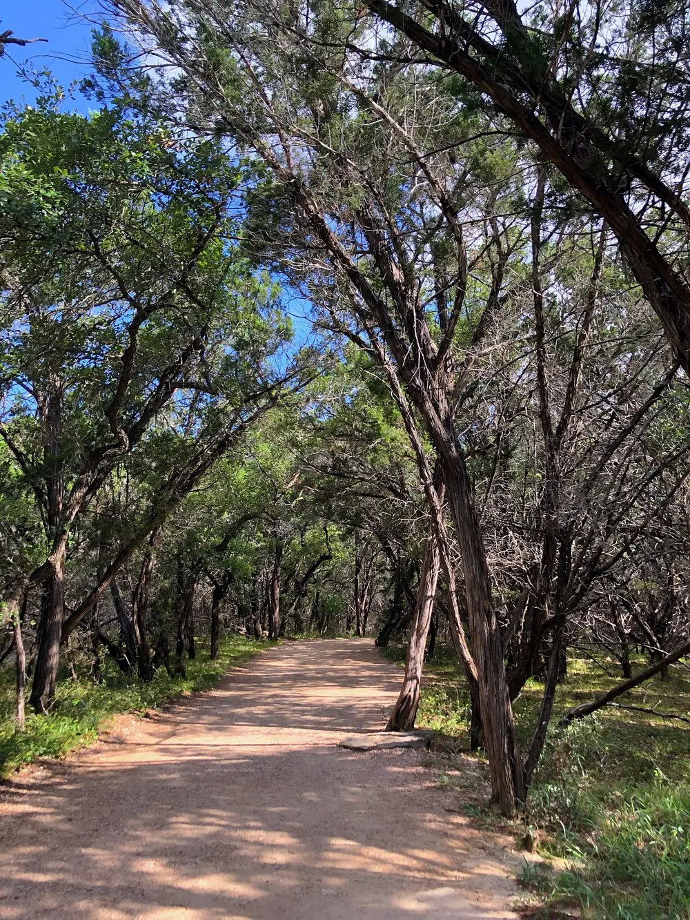 Pedernales Falls State Park